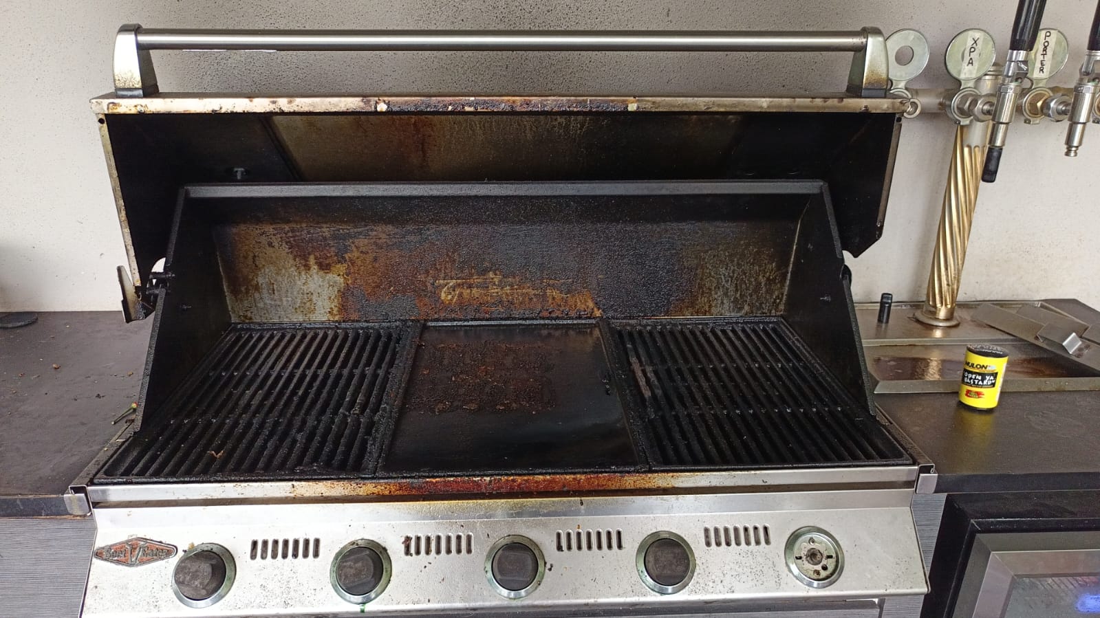 oven-bbq-before
