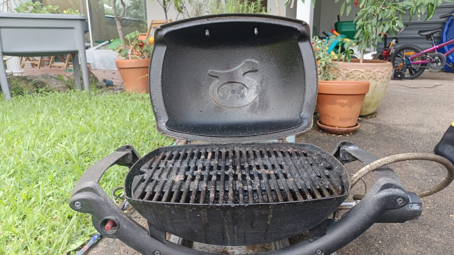 bbq-other-before